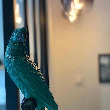 Apartament Jungle Garage Prive Netflix Saint-Etienne  Zewnętrze zdjęcie